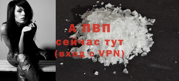ешки Белокуриха