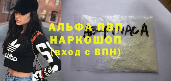 прущие грибы Балахна