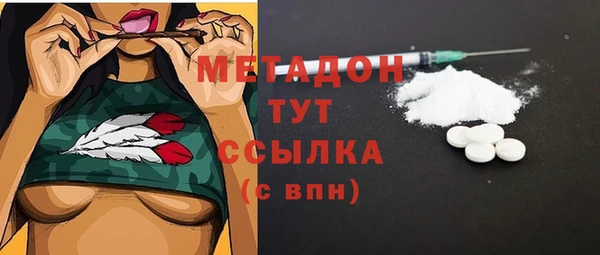 прущие грибы Балахна