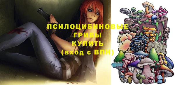 прущие грибы Балахна