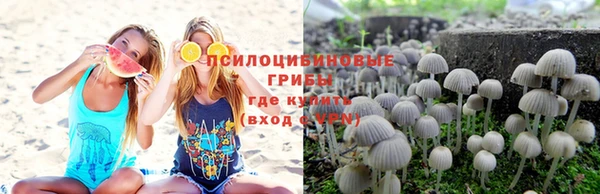 прущие грибы Балахна