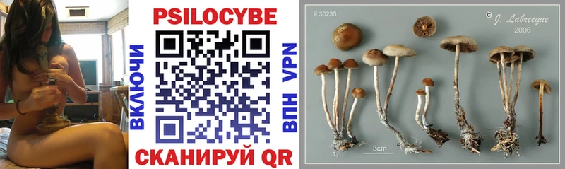 Псилоцибиновые грибы Magic Shrooms  hydra как войти  Скопин 